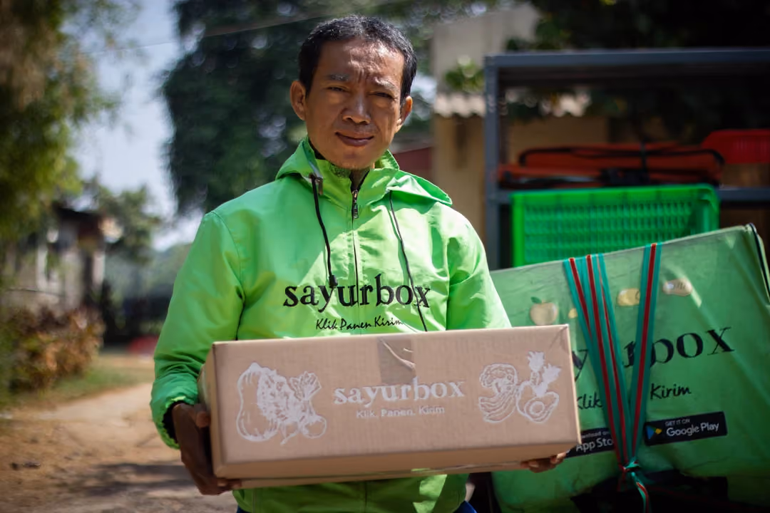 contoh sukses sayurbox