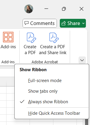 Display ribbon options