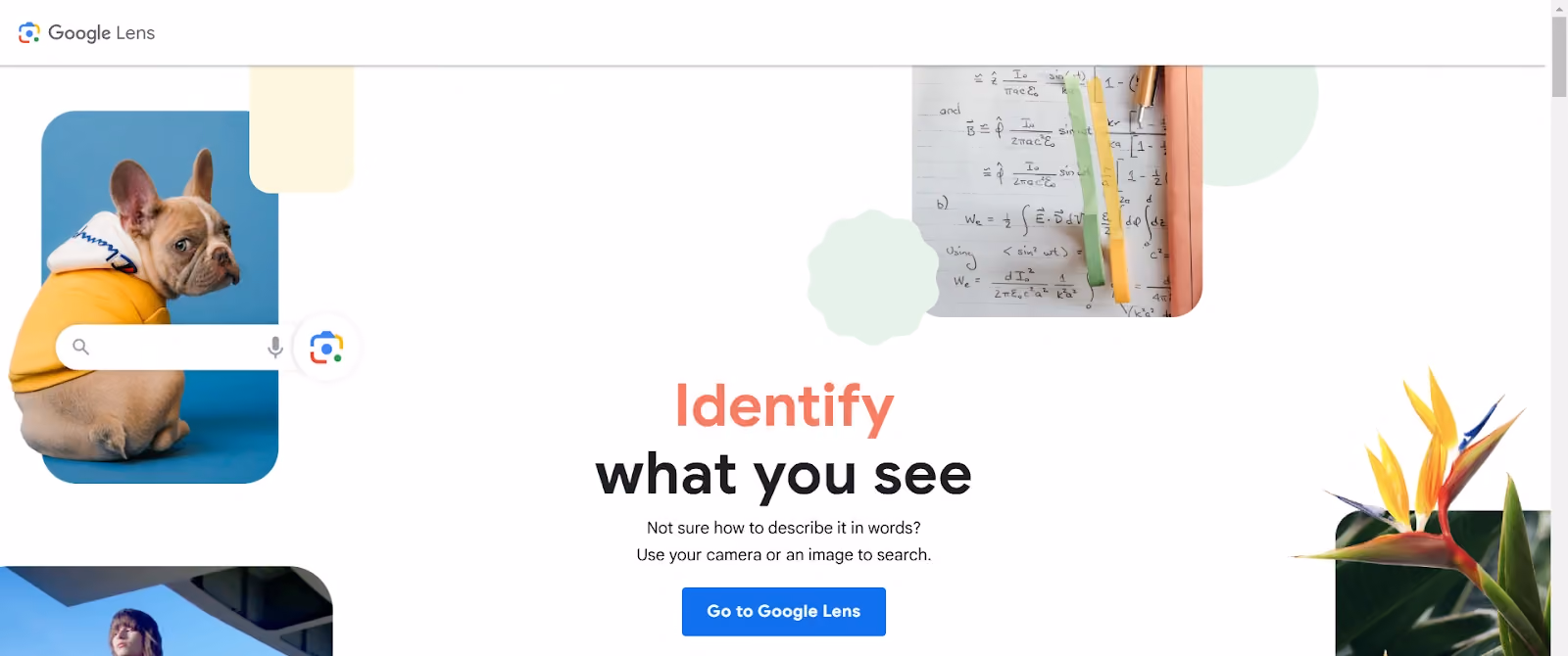 google lens
