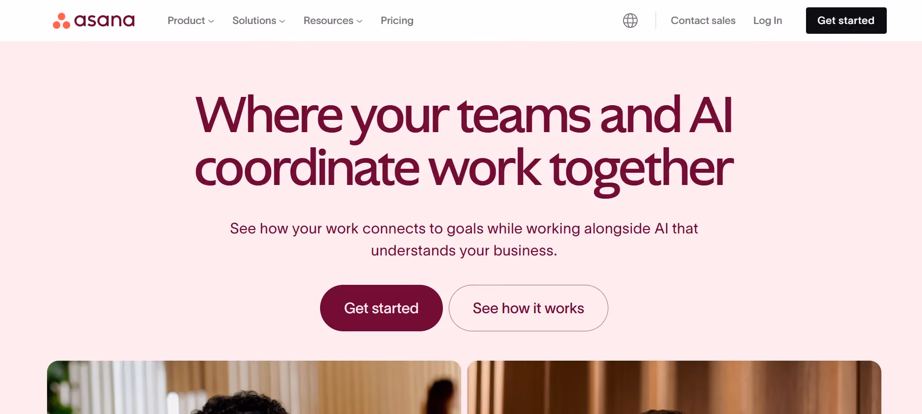 Asana Project Management