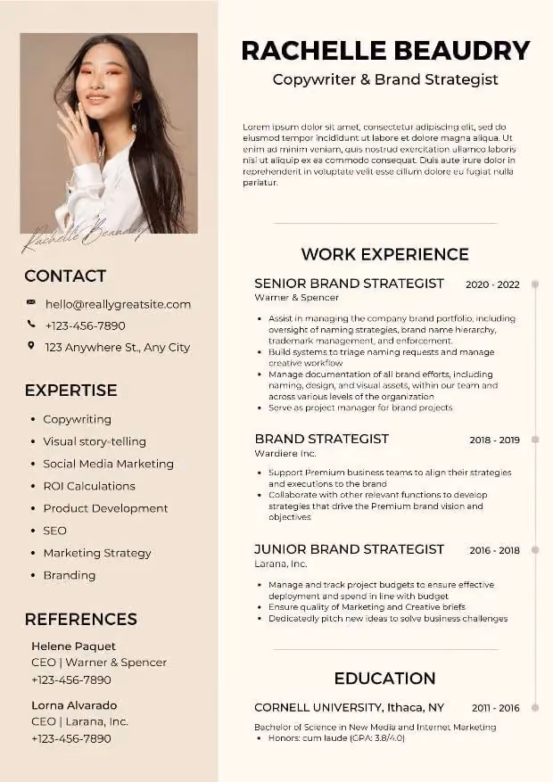 Contoh CV brand strategist