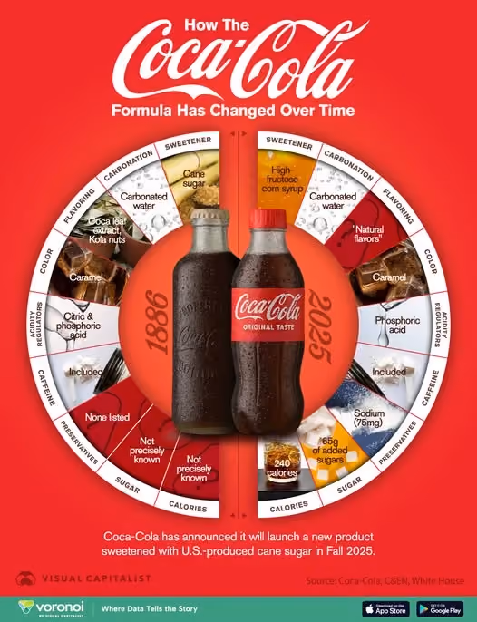 contoh Infografis Promosi atau Kampanye