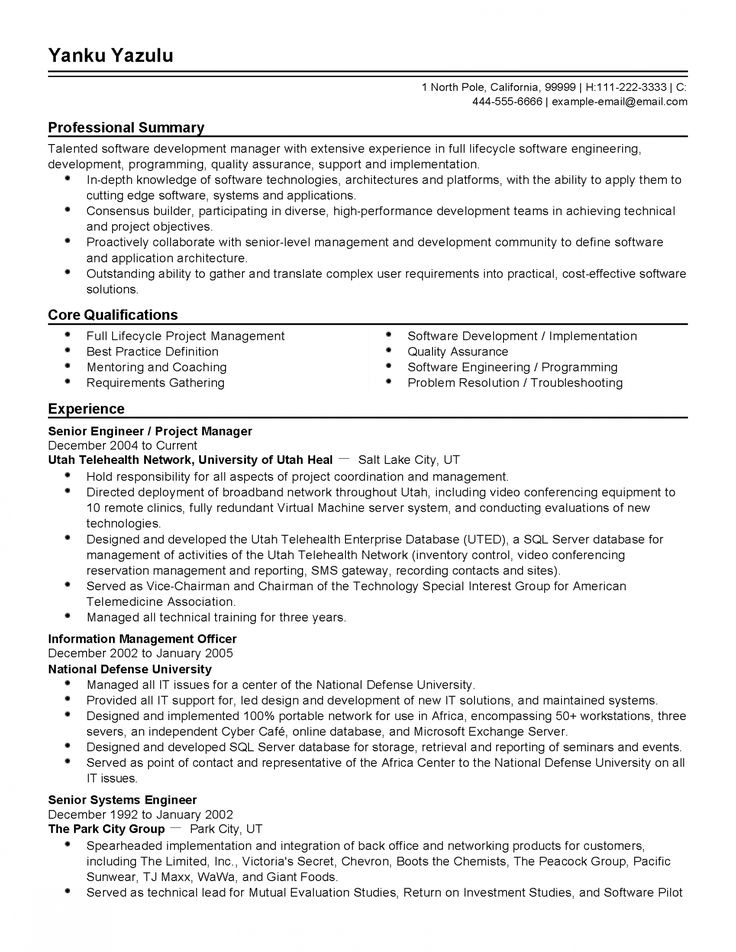 CV ATS Software Development Manager