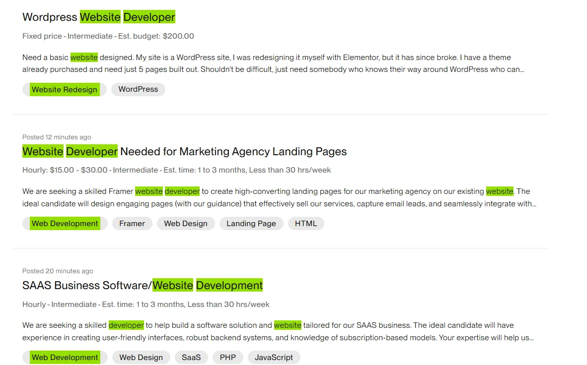 Contoh Kerja Part Time website developer