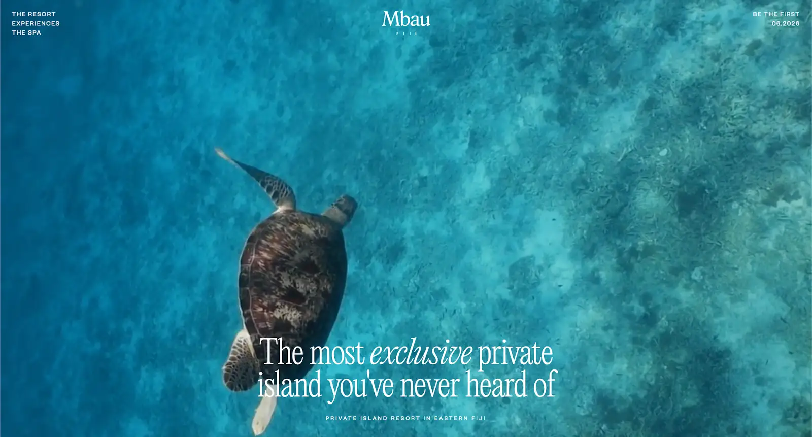 desain website untuk inspirasi: mbau