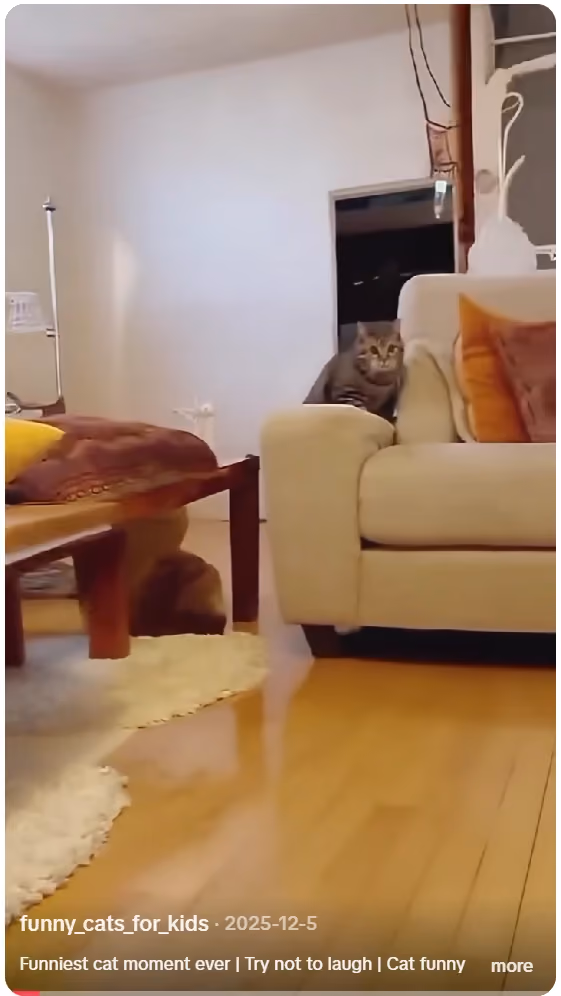 video hewan lucu