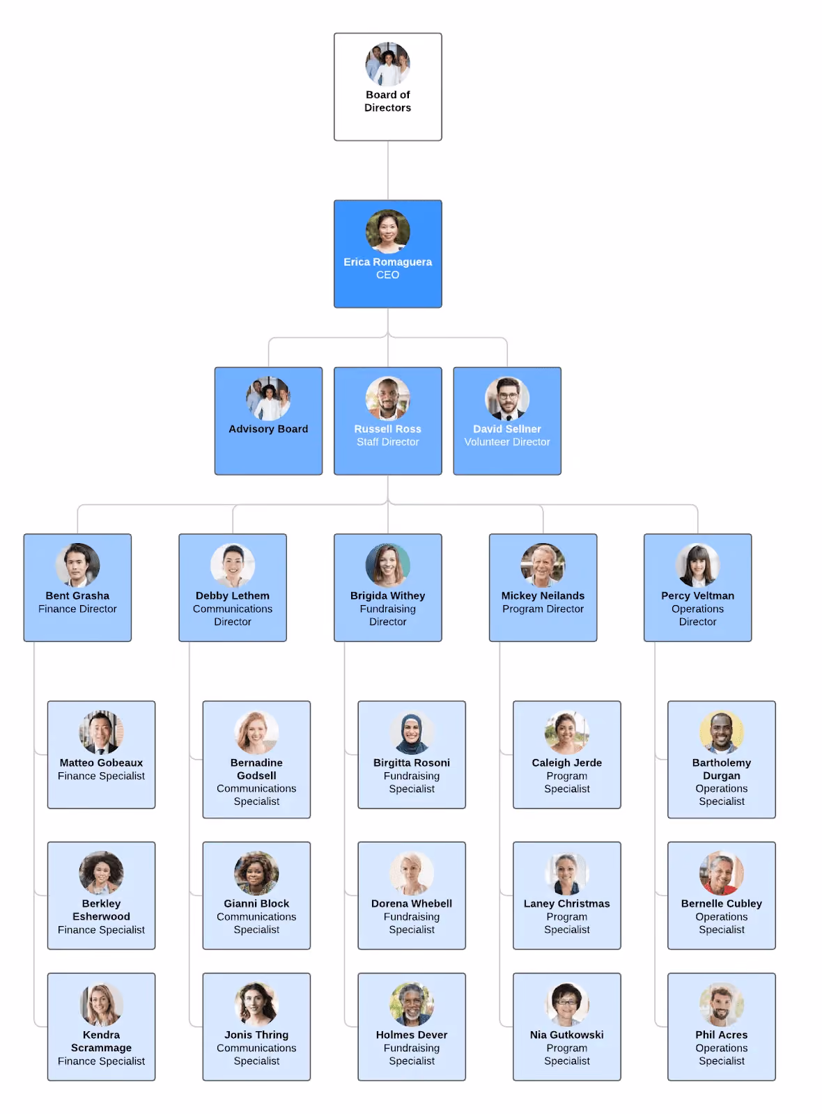 contoh struktur organisasi hierarkis