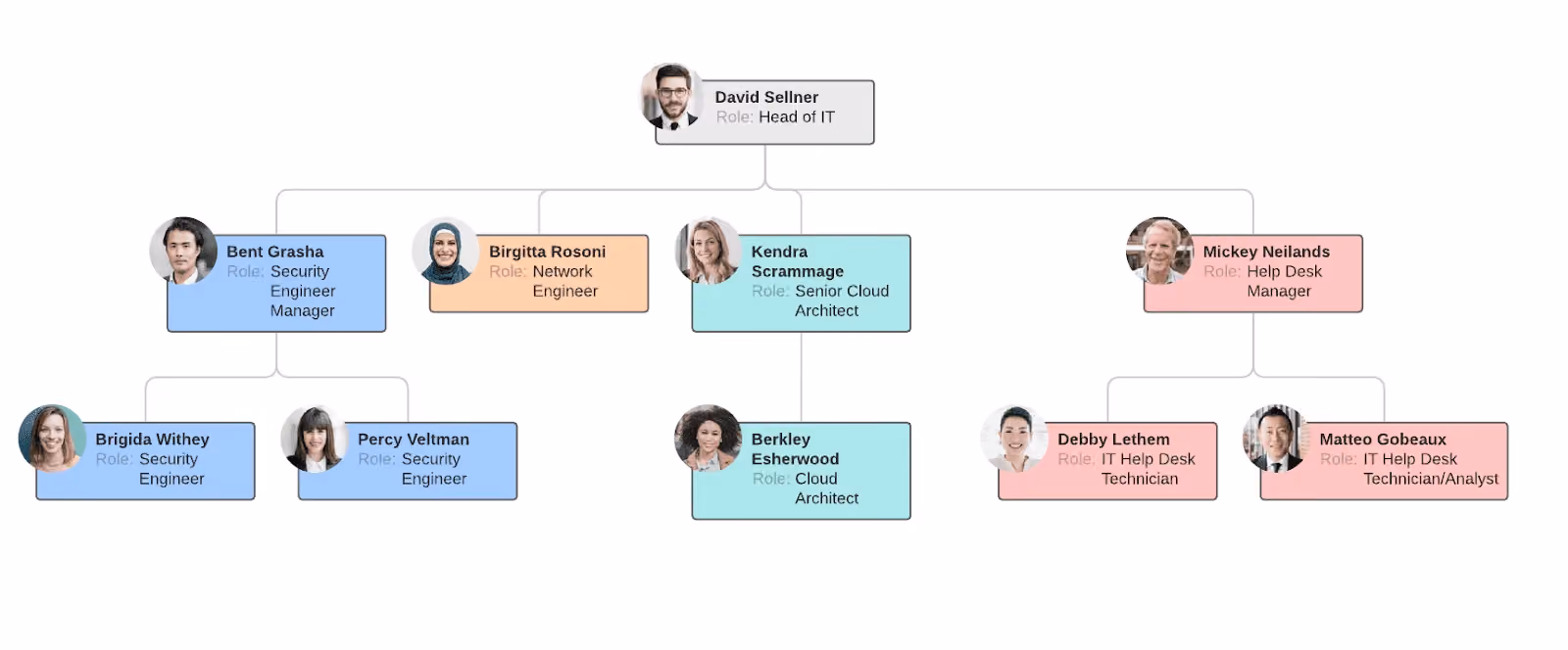 contoh Functional organization structure / struktur organisasi fungsional