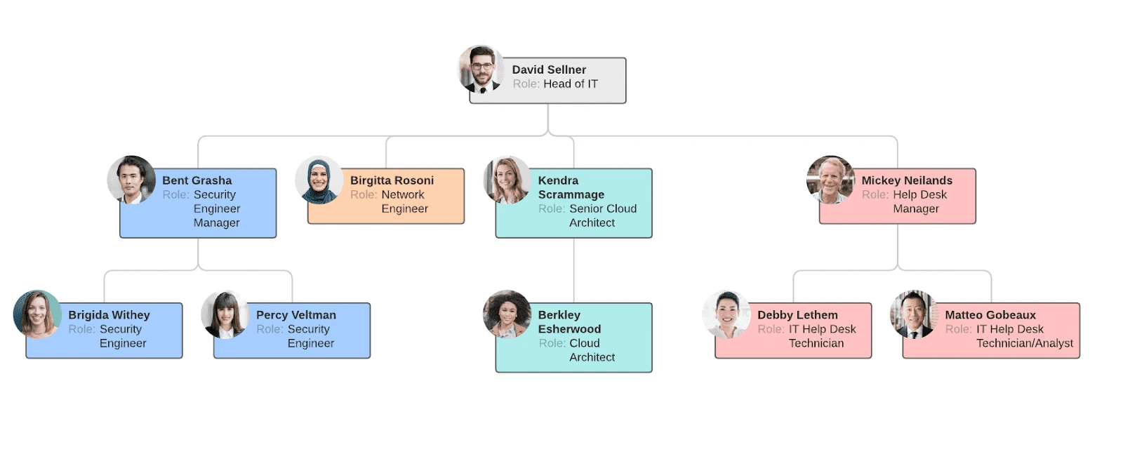 contoh Functional organization structure / struktur organisasi fungsional