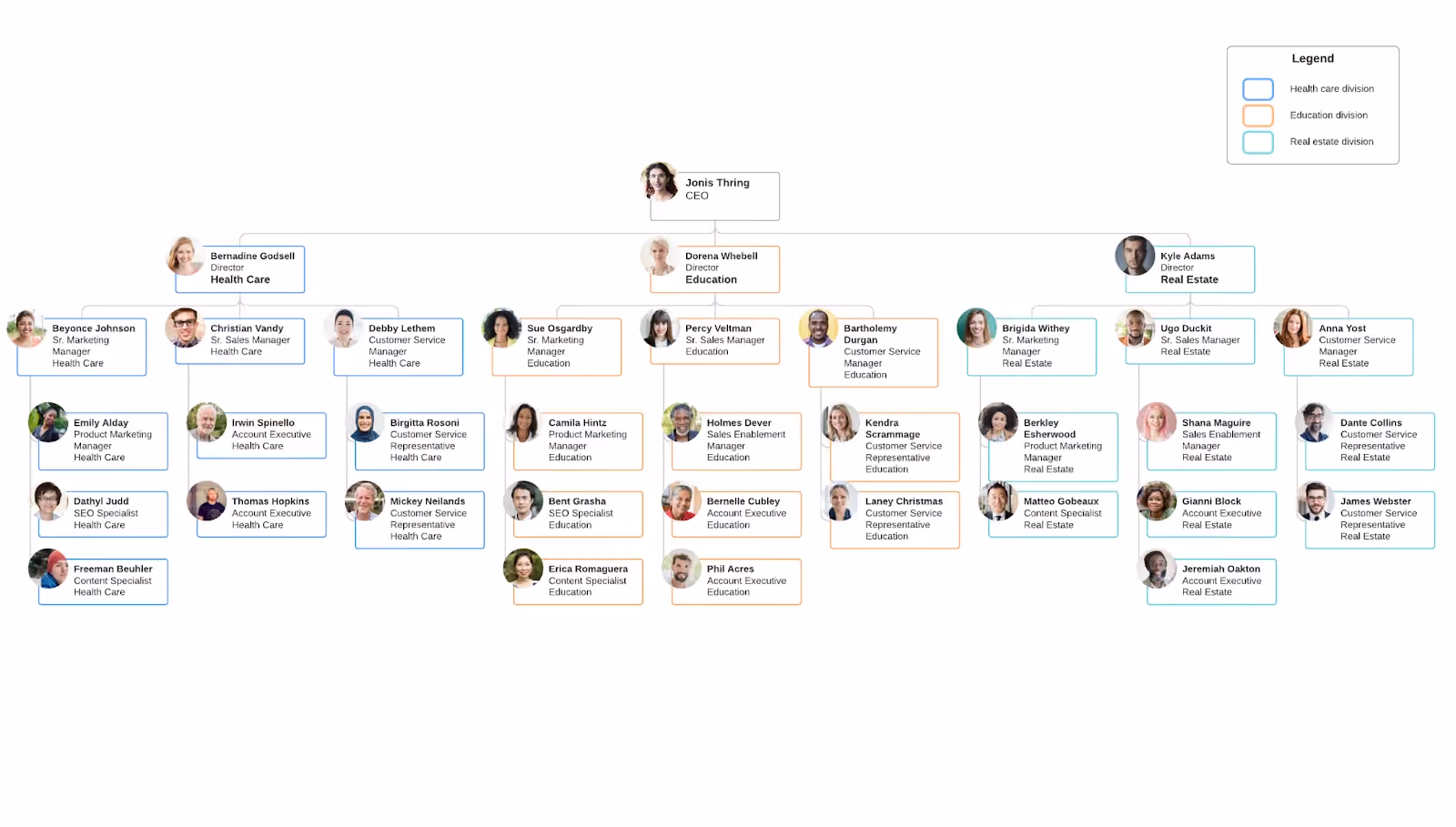 contoh Divisional organization structure / struktur organisasi divisi