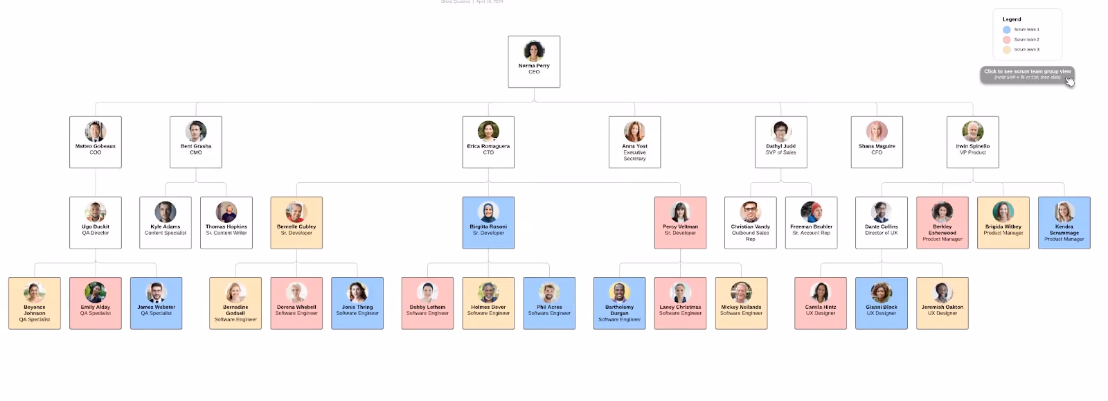 contoh Team-based organization structure / struktur organisasi berbasis tim