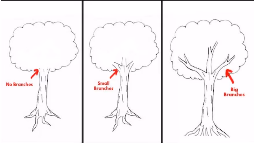 gambar pohon psikotes: ranting
