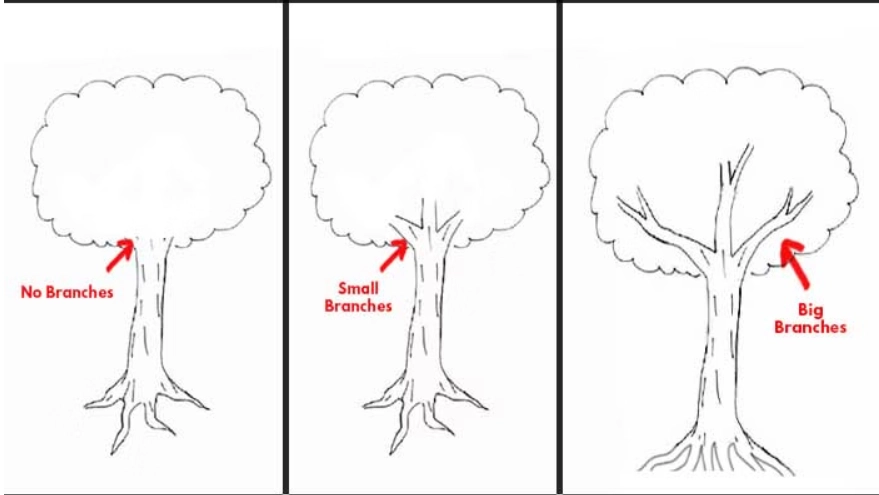 gambar pohon psikotes: ranting