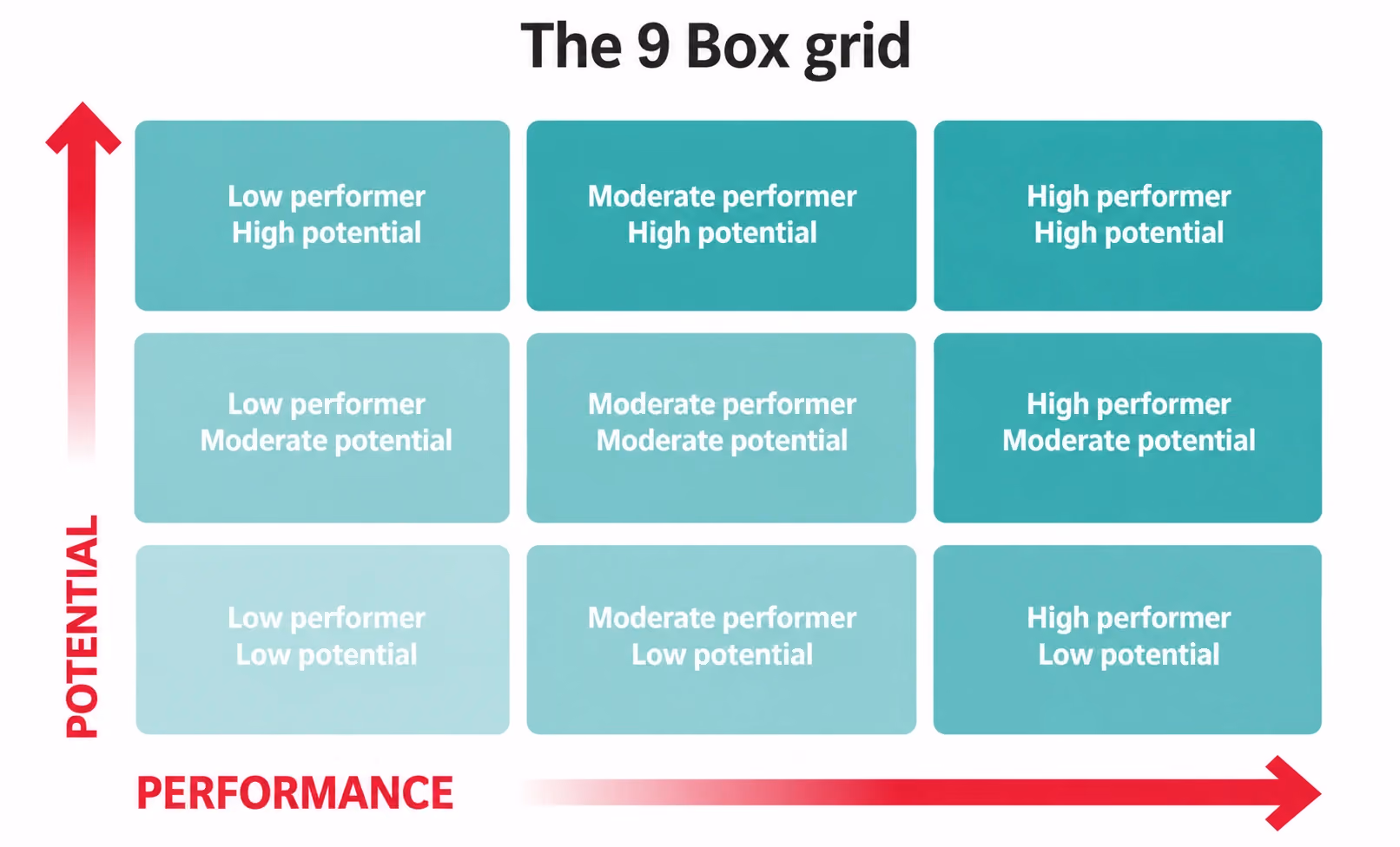 9 box grid