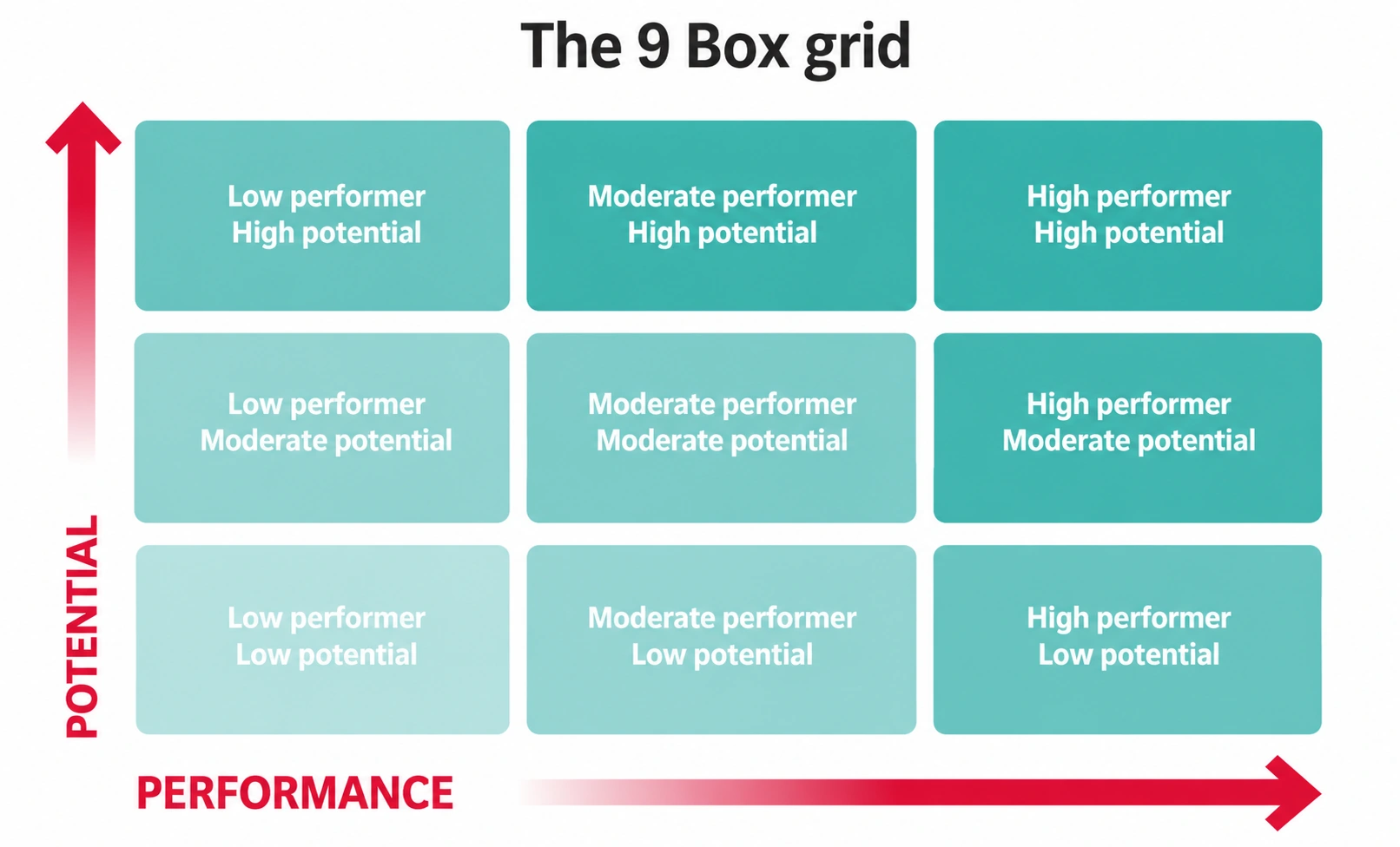 9 box grid