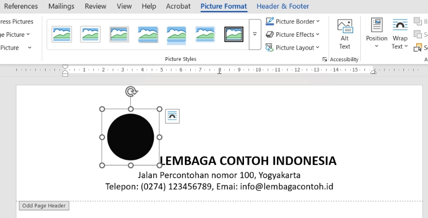 “Picture Format”