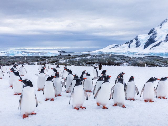 Antarctica