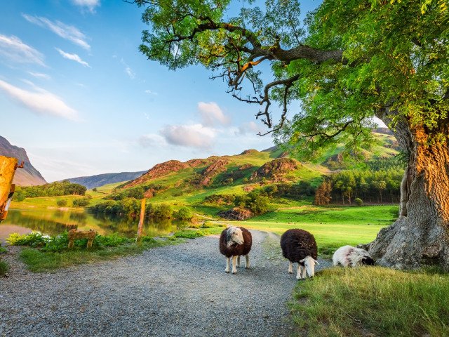 UK National Parks