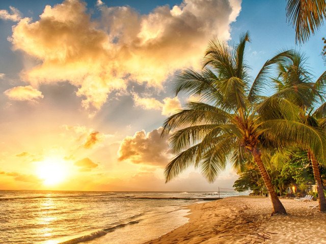 Cool Caribbean
