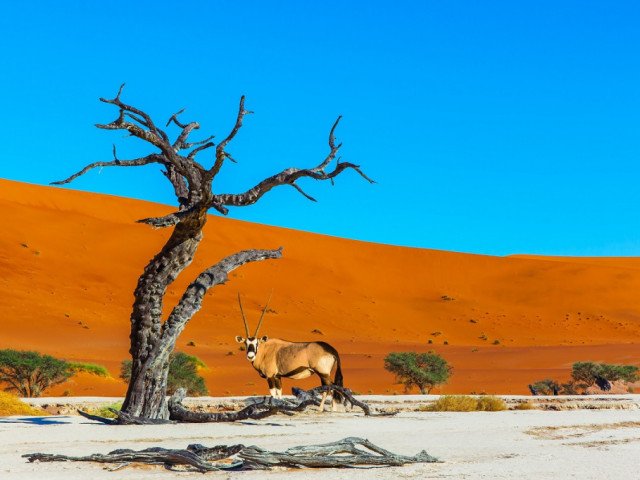 Namibia