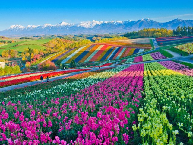 Hokkaido