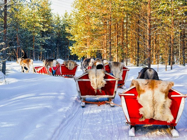 Winter Wonderland