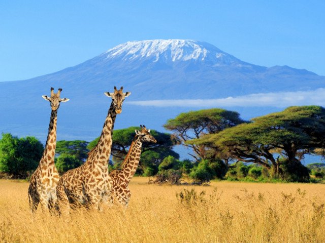 Around Africa