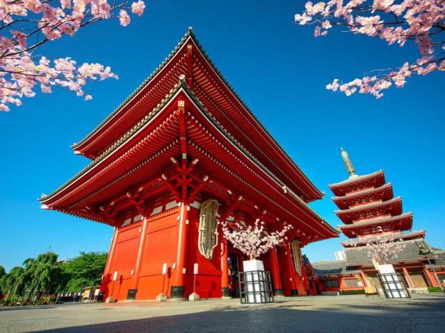 Road to Tokyo