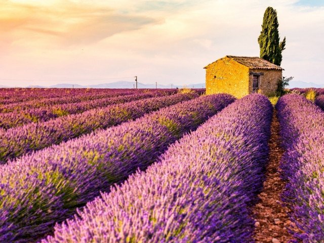 Provence