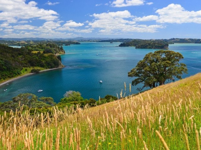 New Zealand (North Island)