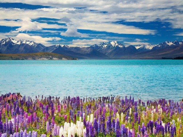 New Zealand (South Island)