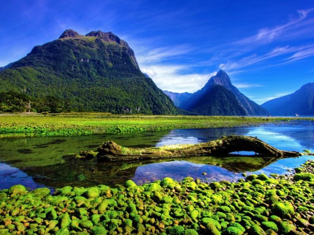 New Zealand