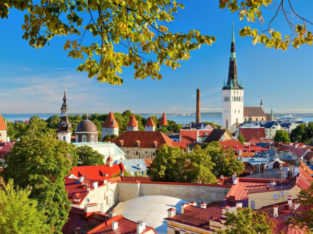 Baltic Bonanza