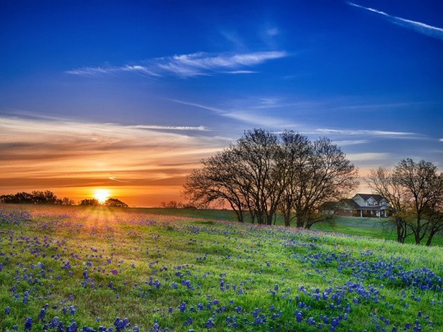 Texas