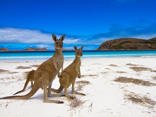 Australia