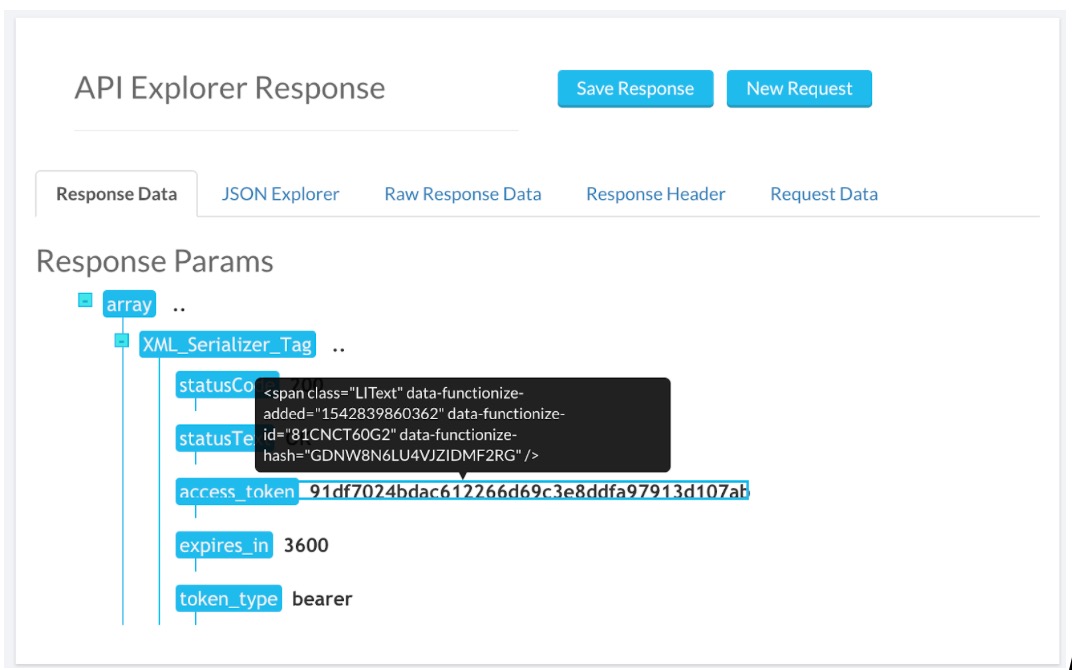 API response 