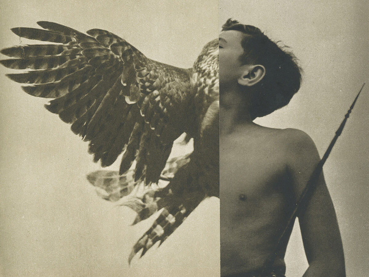 Eva Gjaltema – The Hunting Game
