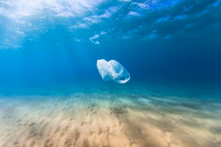 Compostable waste bags in the sea