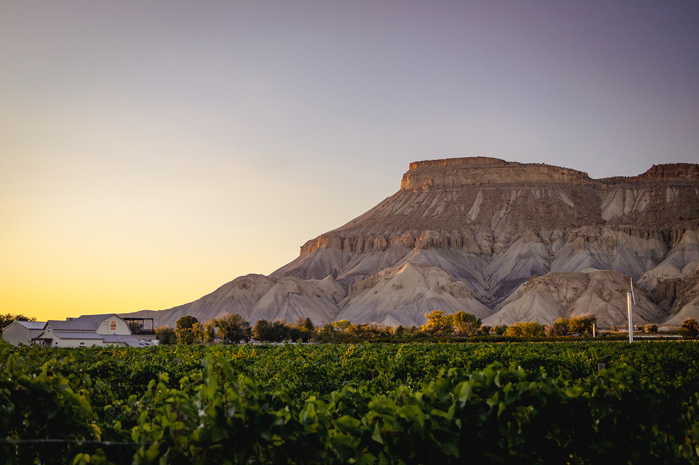 Palisade Colorado Itinerary Carboy Winery
