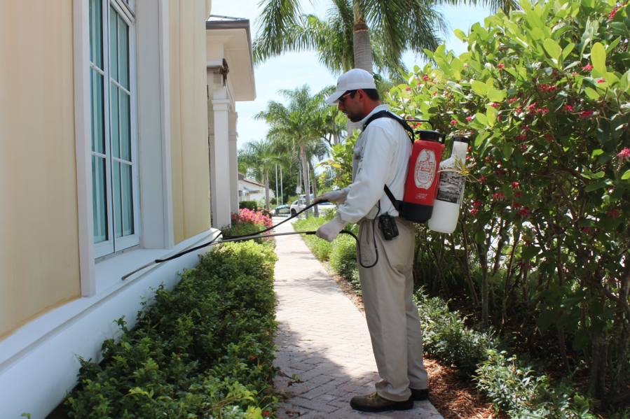 Best Glendale Pest Control Companies