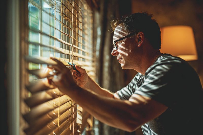 top 10 wood blinds companies