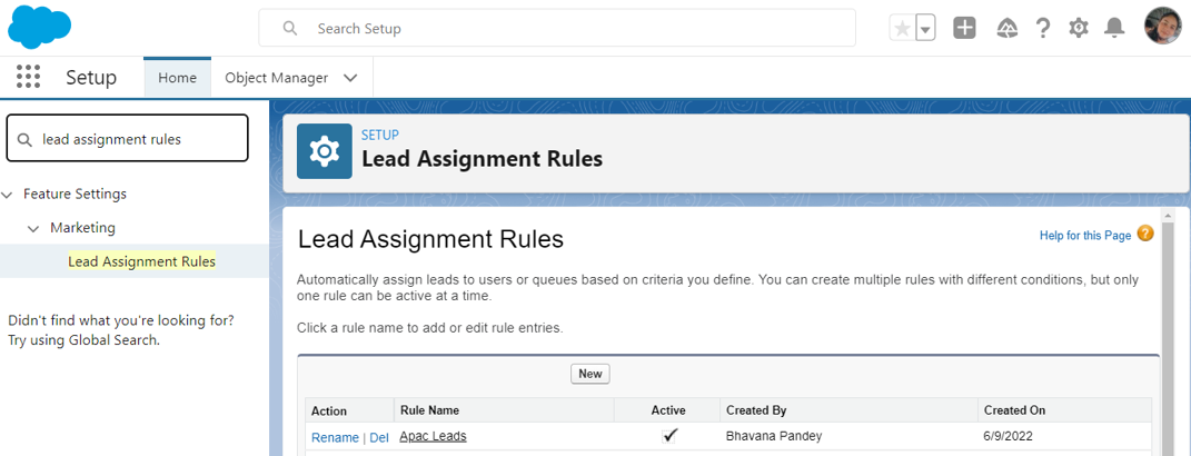 Lead Assignment Rules