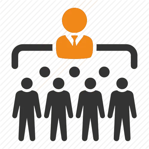 webinar topic image, interviews in nz