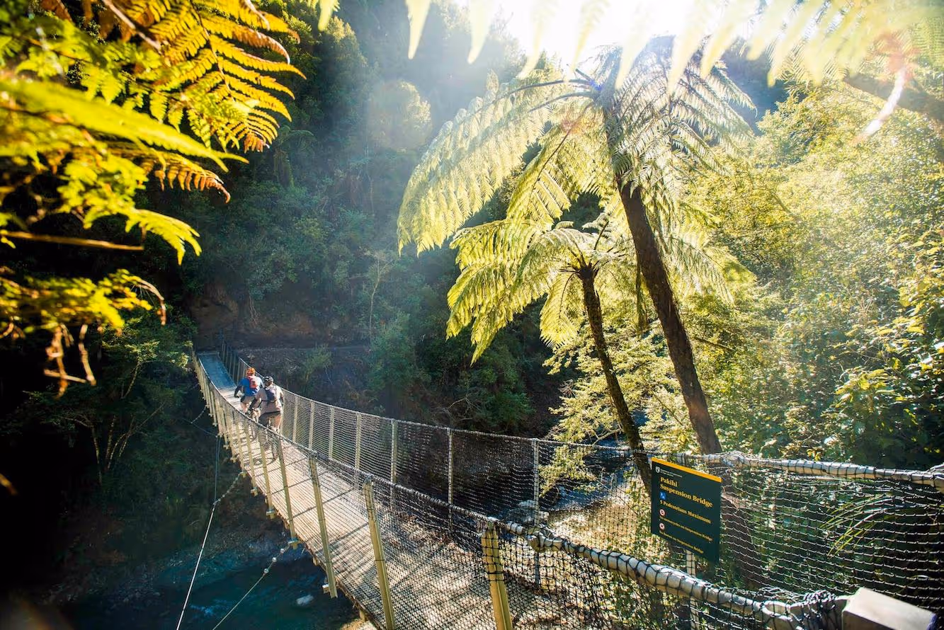 Whakatane bridge with cyclists 