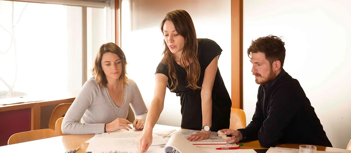 business professionals image