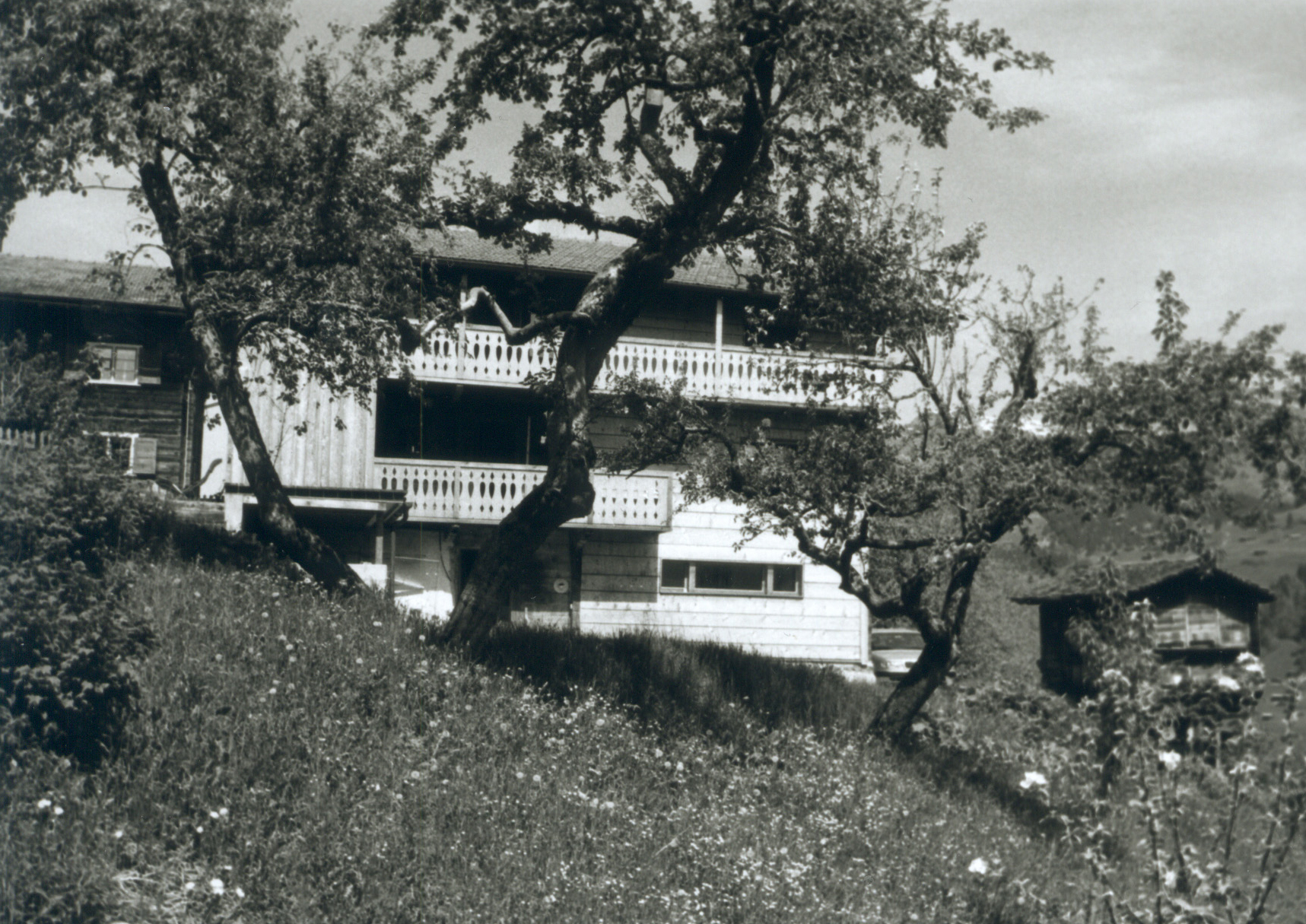 Ostfassade von Haus Conters mit Holzlauben hinter Obstbäumen auf einer Wiese.