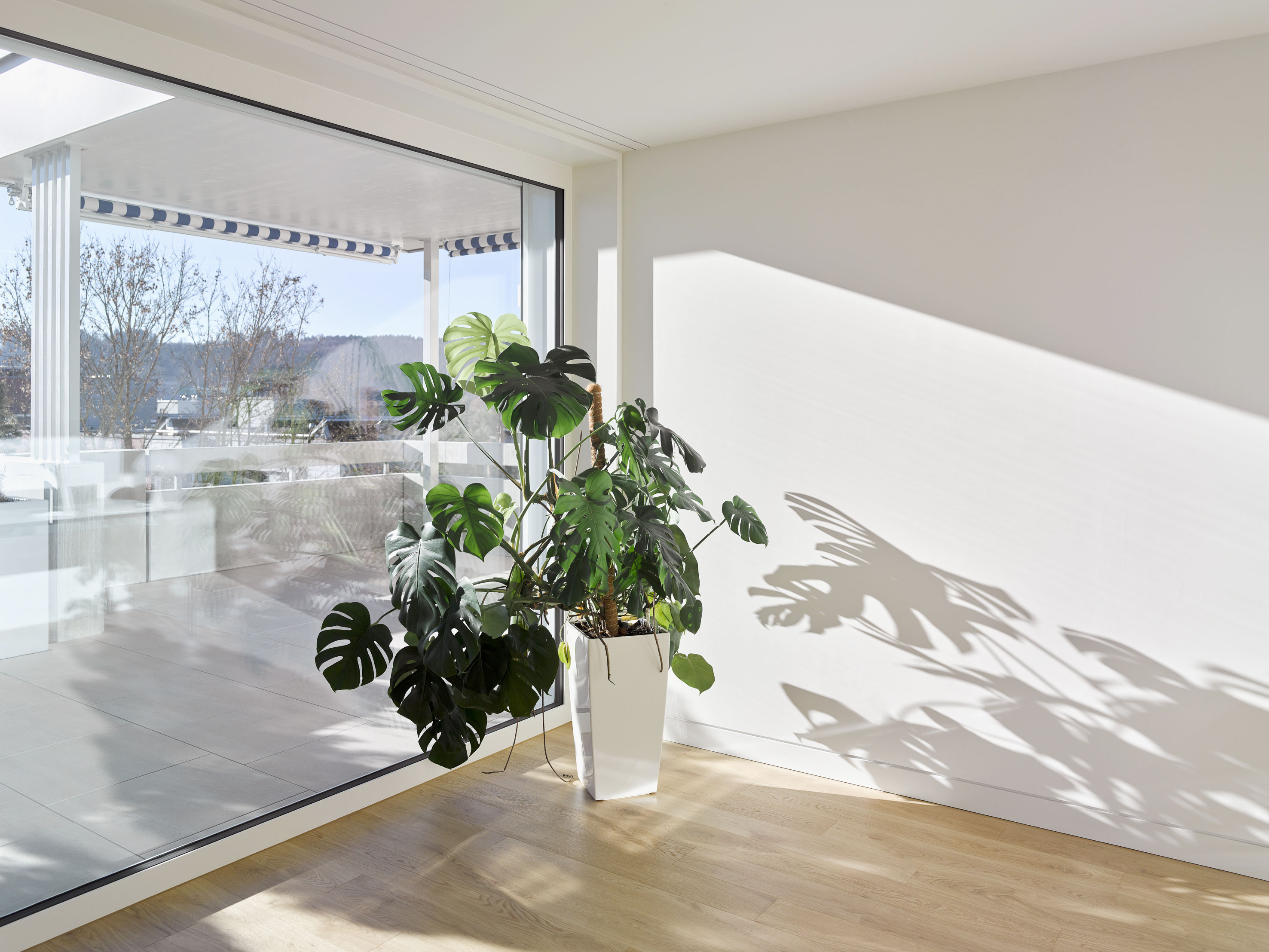 Lichtdurchflutetes Zimmer mit Holzboden, grosser Glasfront zur Terrasse und einer Zimmerpflanze.