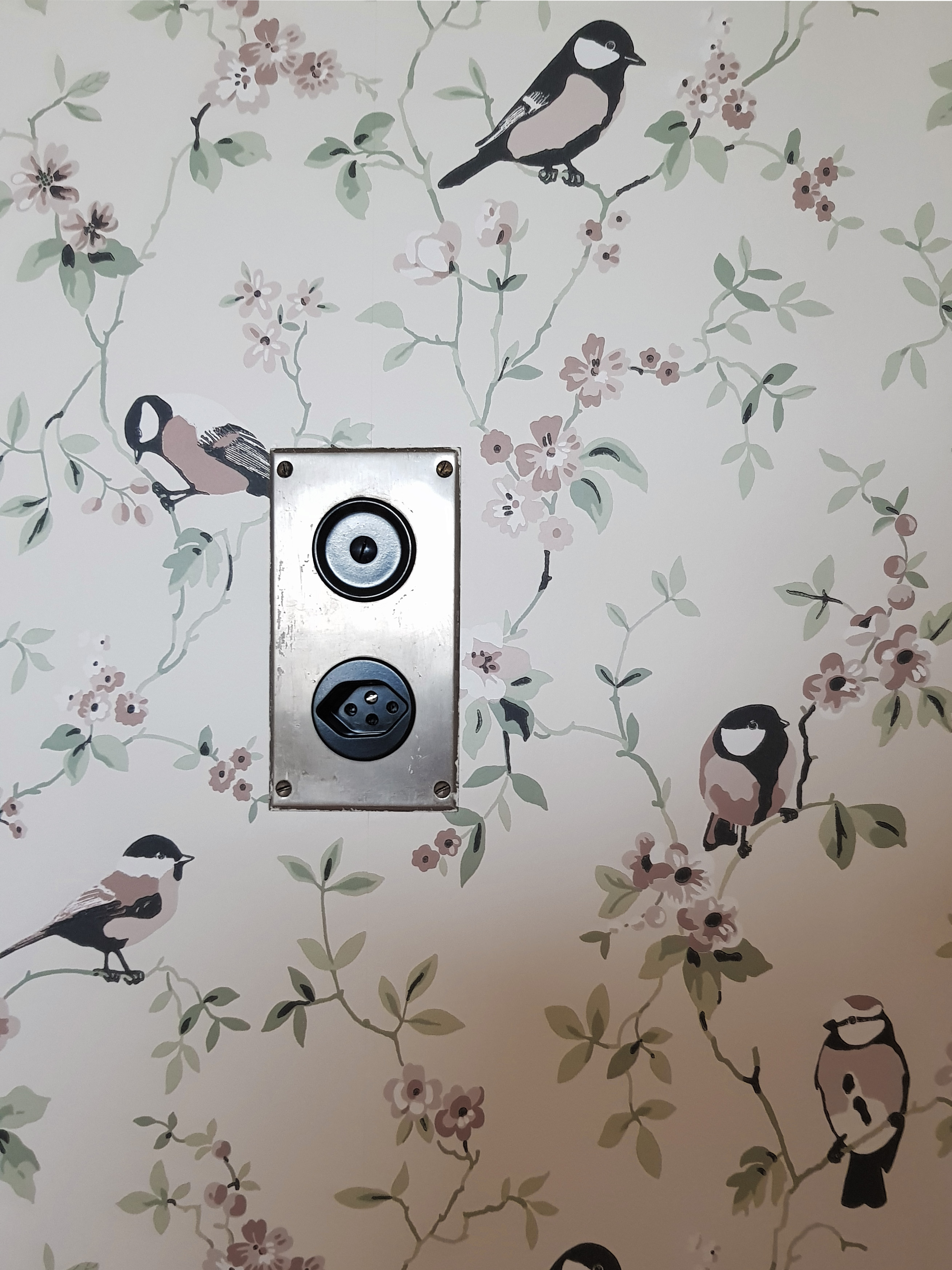 Historischer Lichtschalter und Steckdose vor einer Tapete mit Vögeln und Blüten in der Villa Lindeneck.