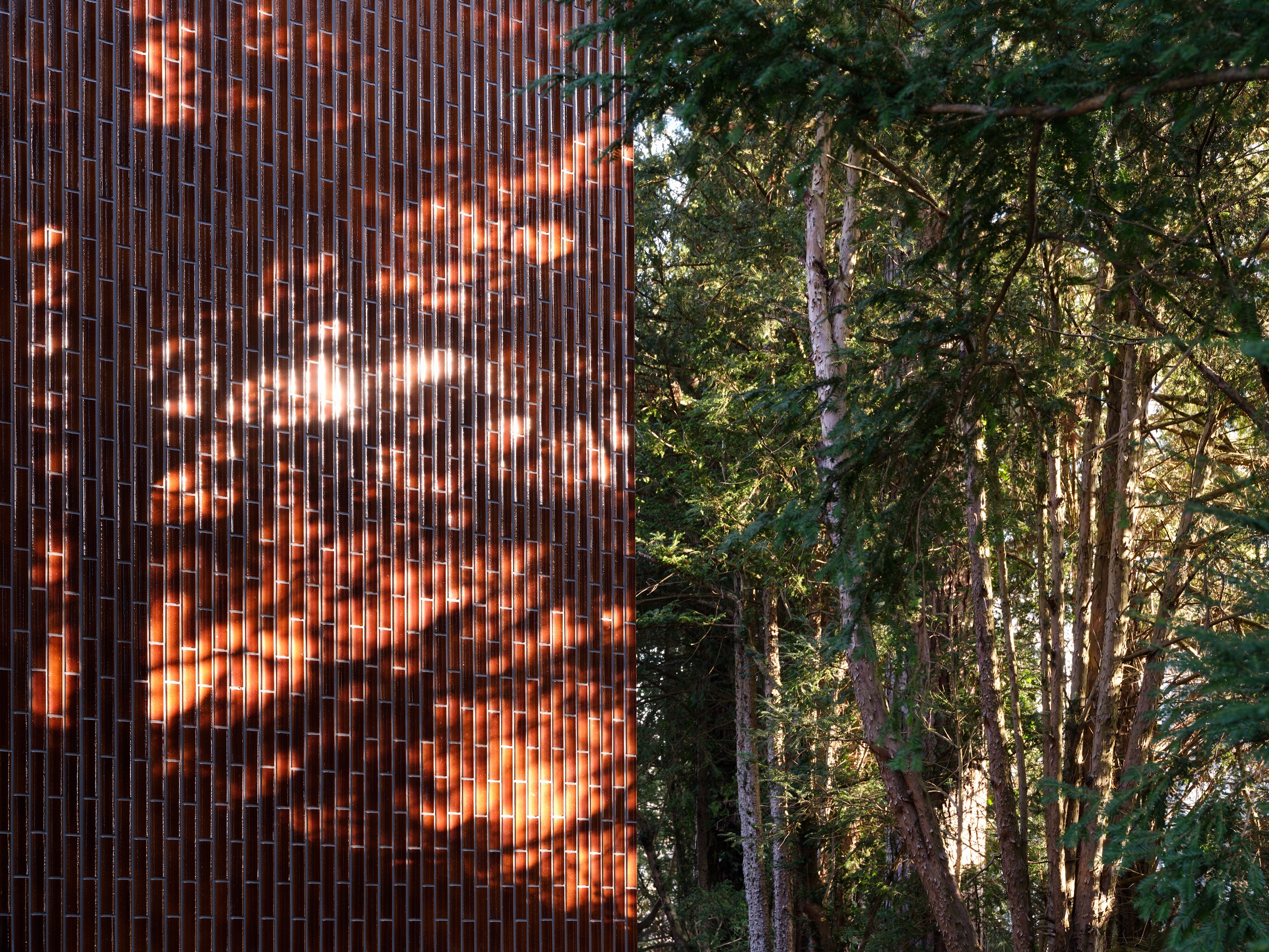 Licht und Baumschatten auf der vertikal gegliederten Terrakottafassade des Ergänzungsbaus Lindeneck.