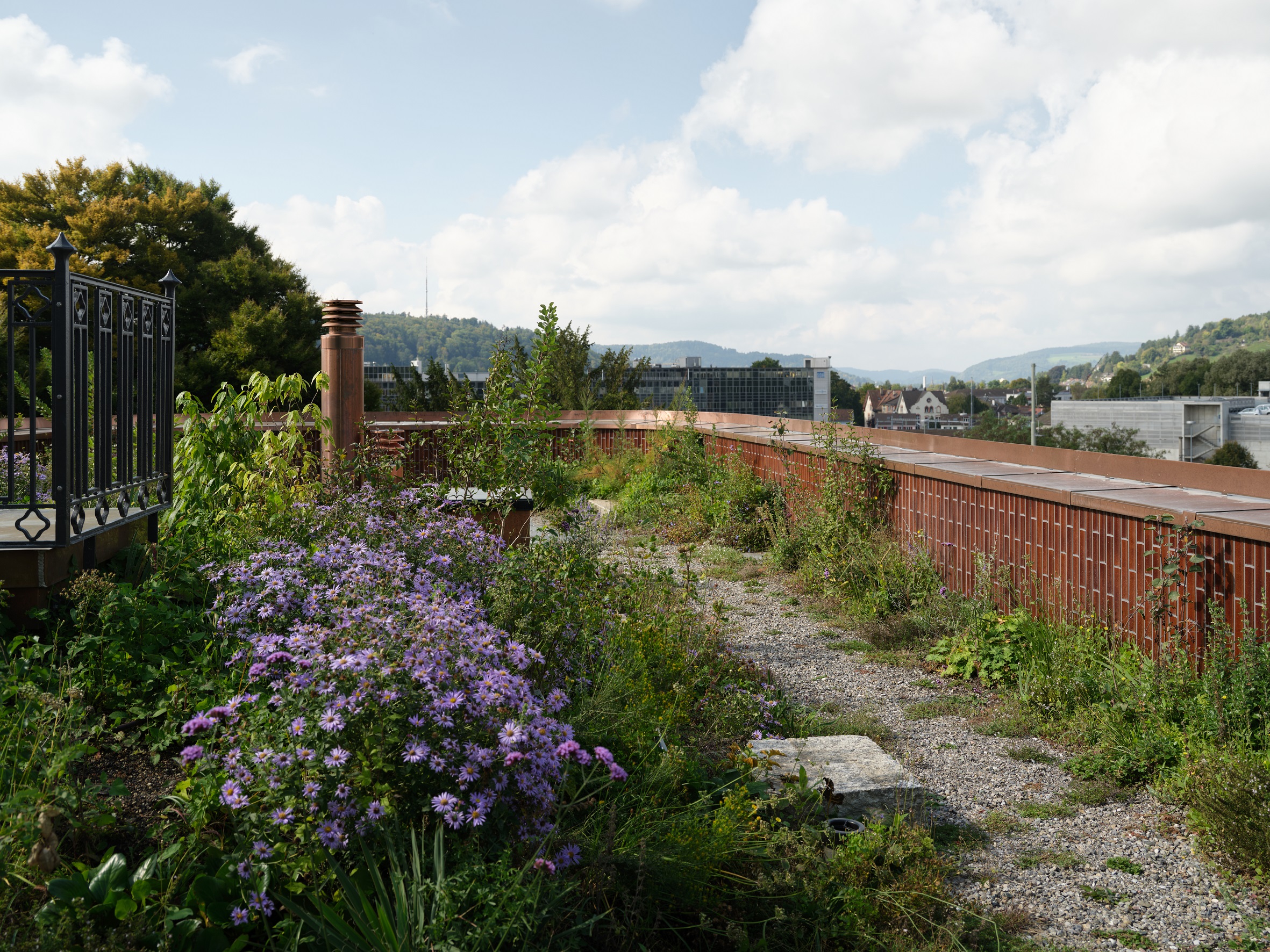 Blühender Dachgarten des Ergänzungsbaus Lindeneck mit Kiesweg und Blick über Winterthur.